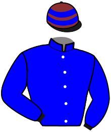 Mady du Pommereux