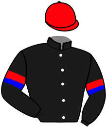 Noble Dance