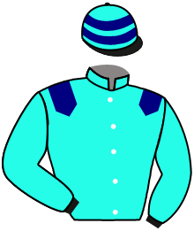 Anima Su