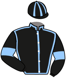 Majestria Fili