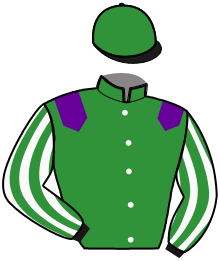 Magicien du Sable