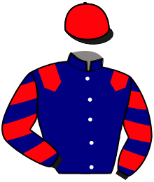 Ludo du Veillerot