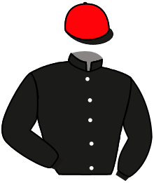 Don Evasor
