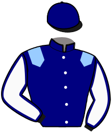 Nyx Ergee