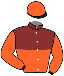 Gipsy Vanner